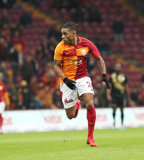 不胜枚举 不胜枚举