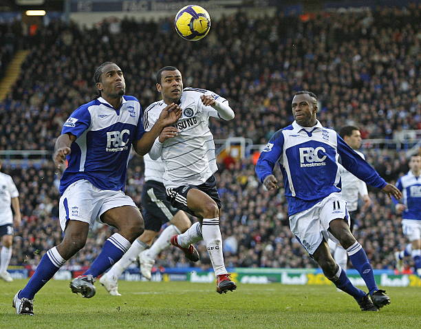 种子难以在 种子难以在